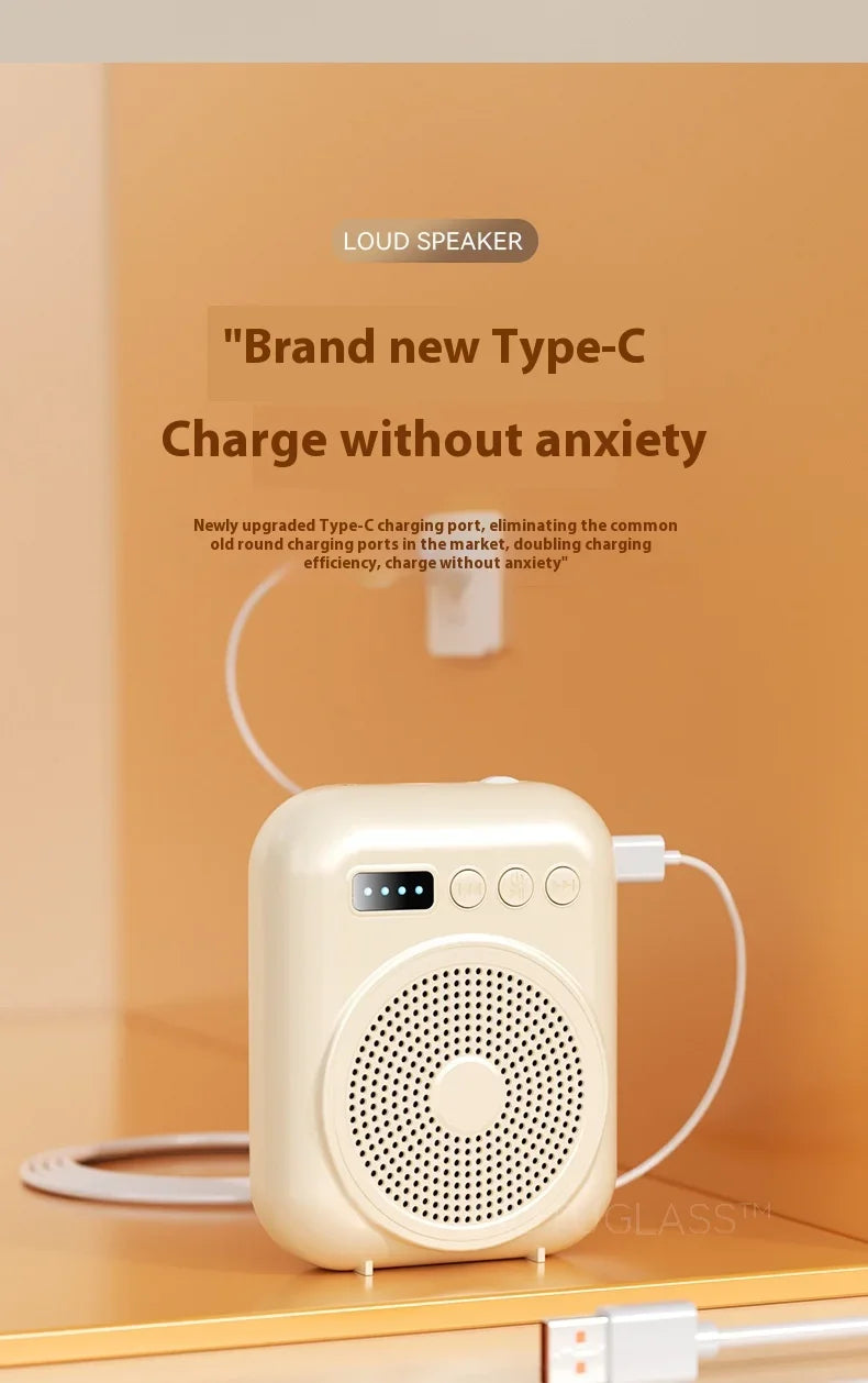 Rechargeable Bluetooth Voice Amplifier with Mic