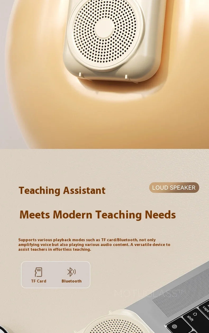 Rechargeable Bluetooth Voice Amplifier with Mic