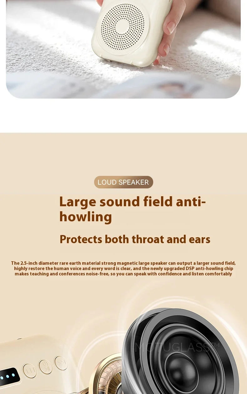 Rechargeable Bluetooth Voice Amplifier with Mic