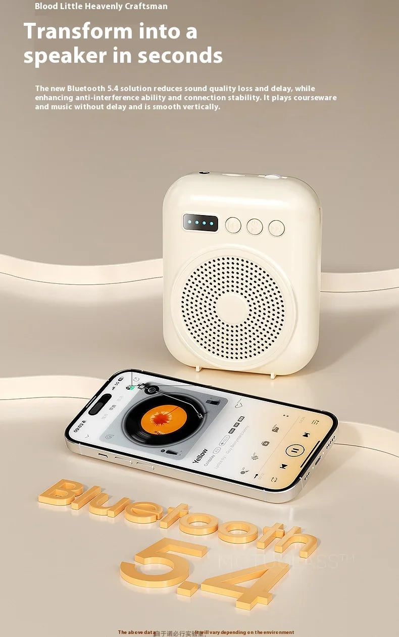 Rechargeable Bluetooth Voice Amplifier with Mic